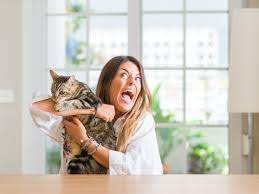 The 'crazy cat lady' stereotype is a myth, according to research ...